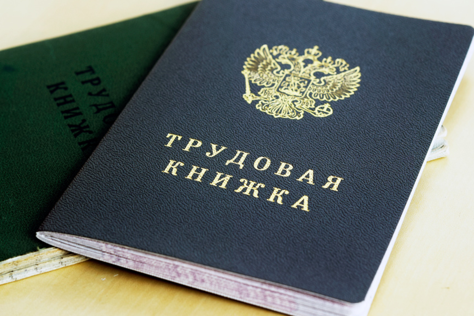 Презентация на тему трудовая книжка