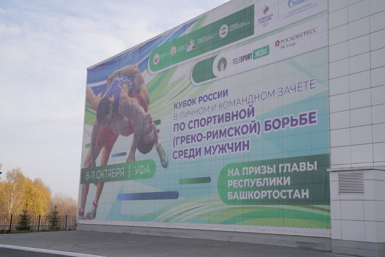 Проект спортивная борьба в школы республики башкортостан