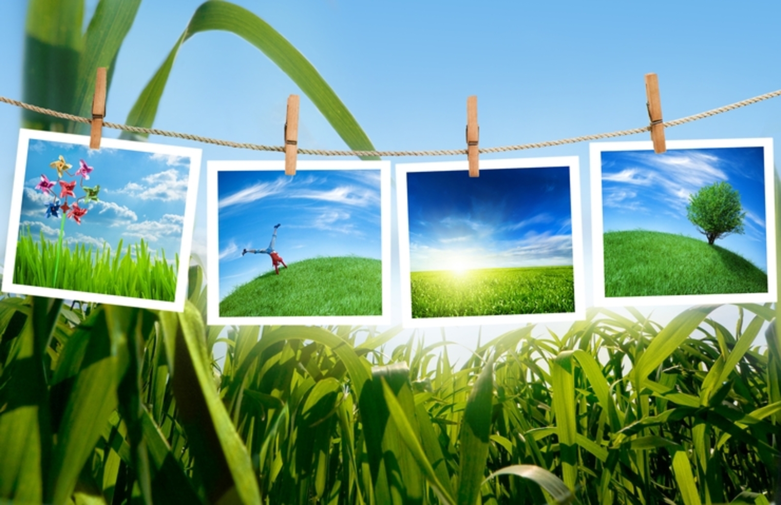 Фото с сайта www.shutterstock.com.