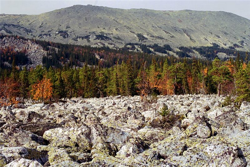 Курумник Иремель