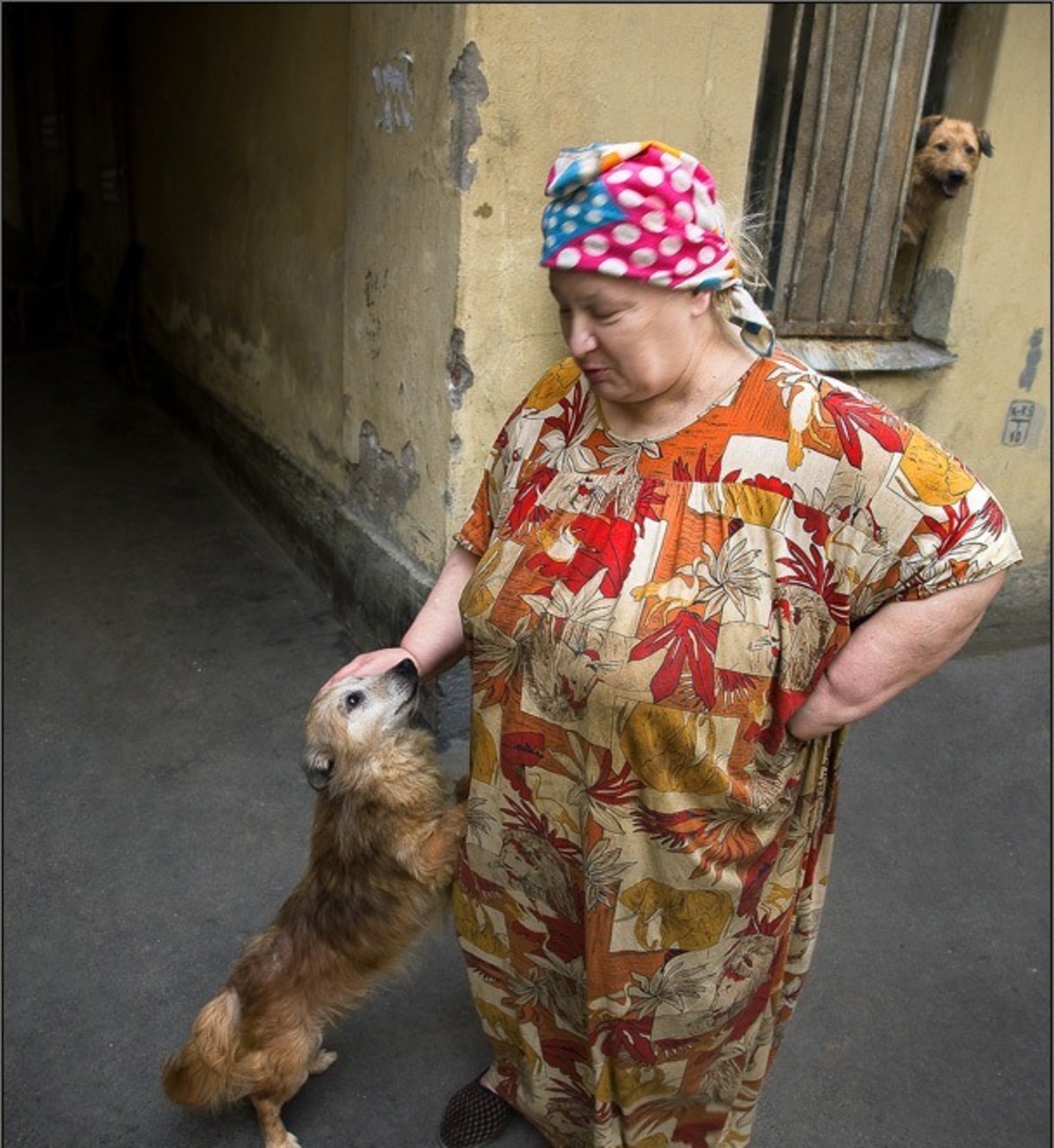 Фото с сайта www.funlol.ru.