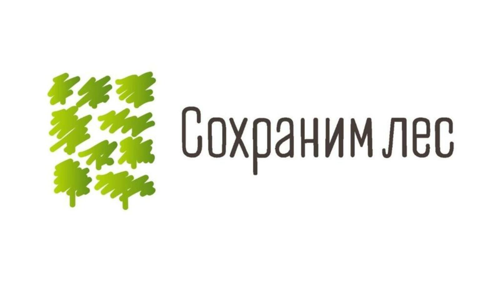 Дан старт пятому сезону осенней Всероссийской акции «Сохраним лес»