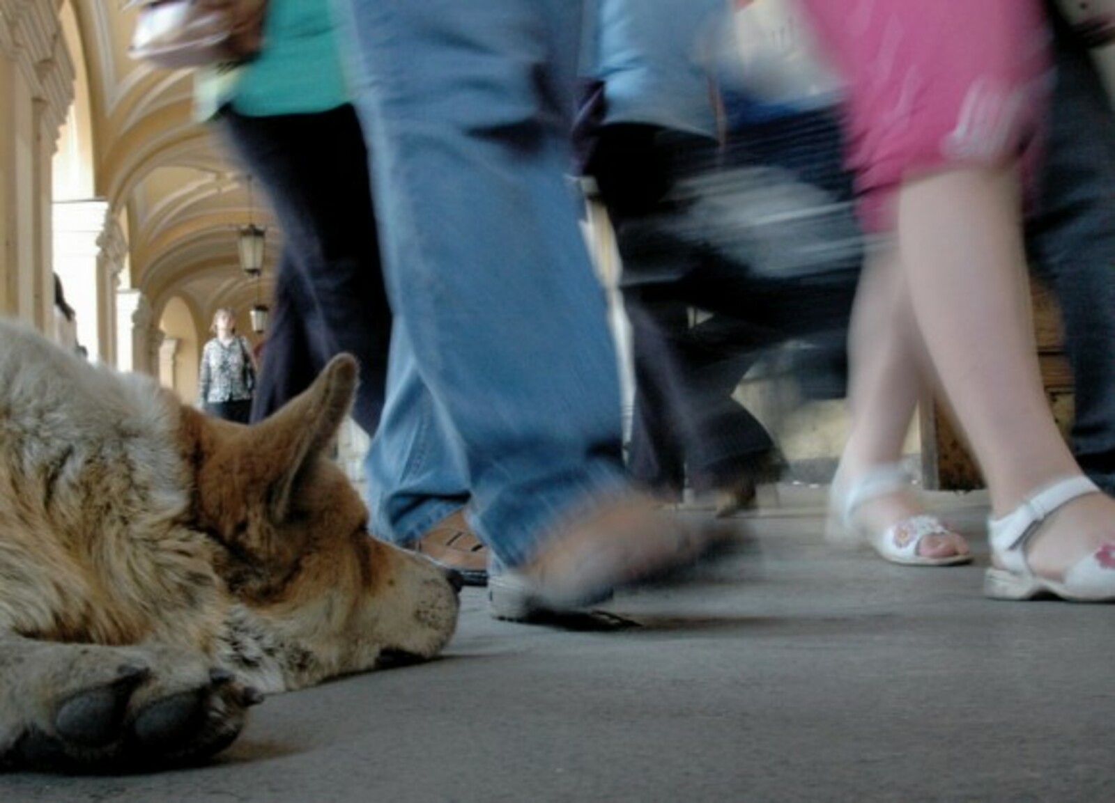 Фото с сайта www.photosight.ru