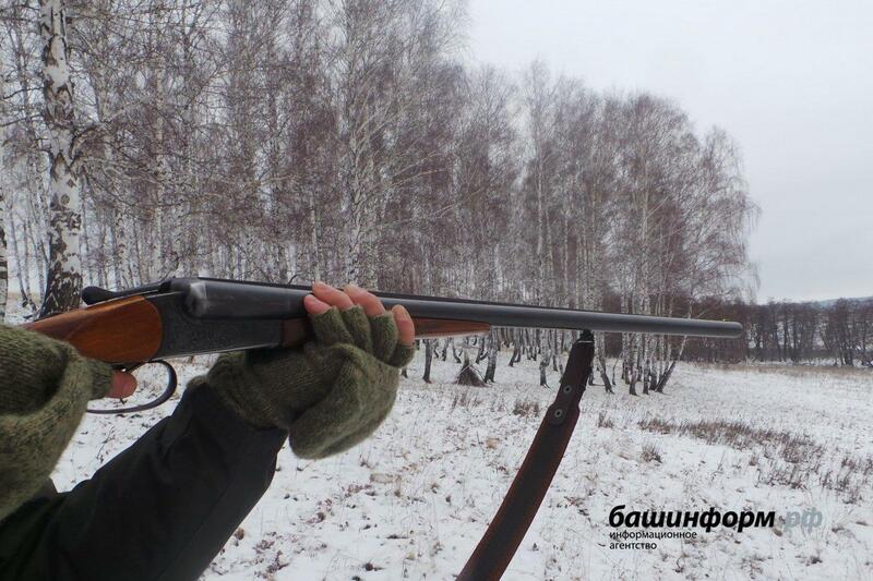 сезон охоты на зайца в башкирии