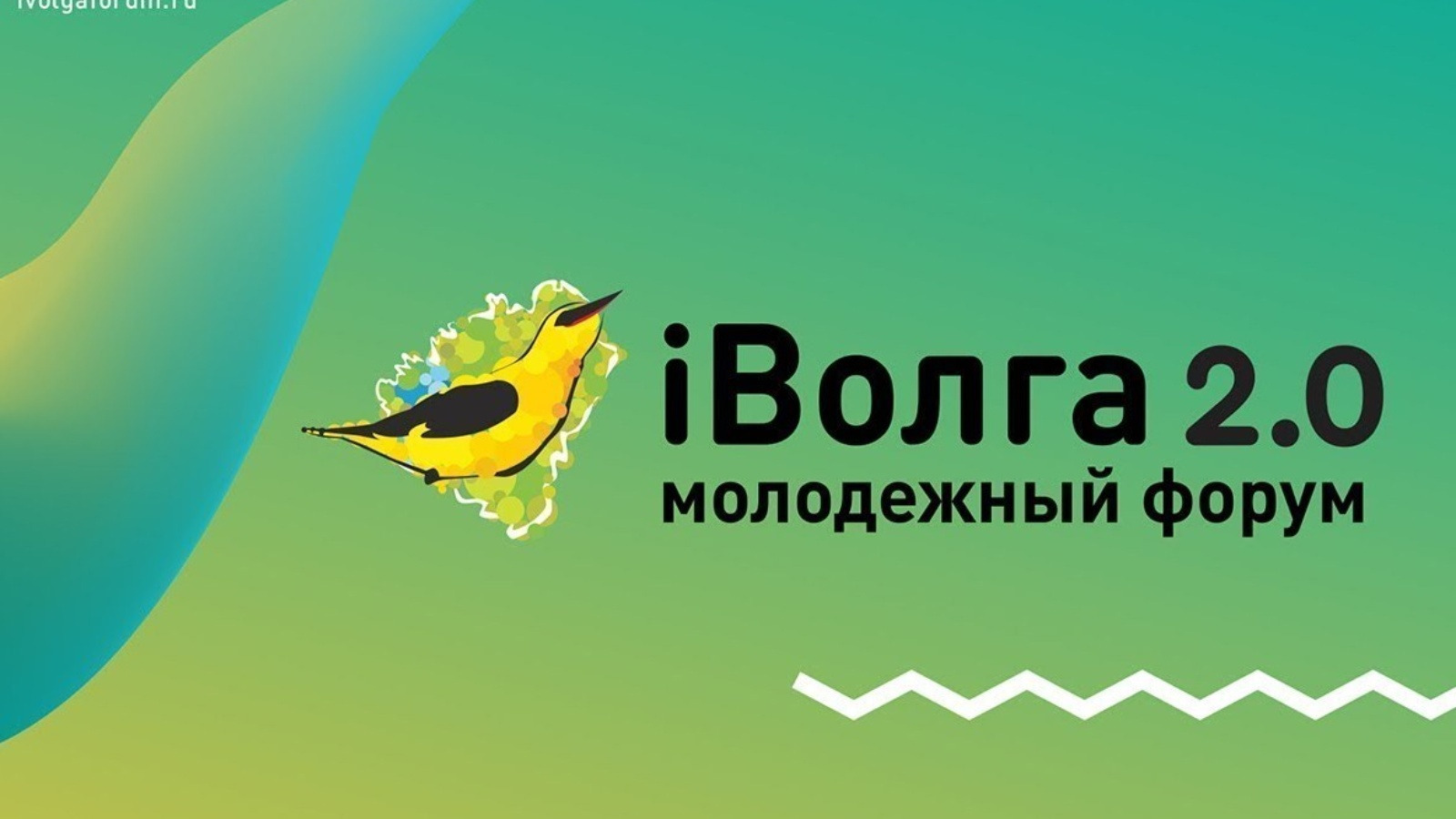 Форум иволга презентация
