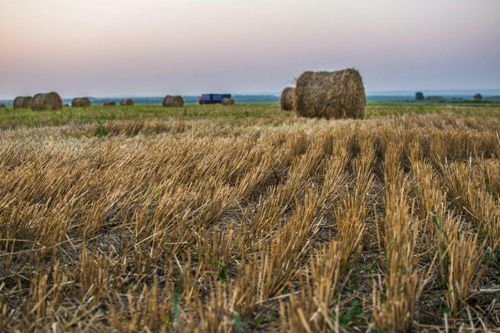 Земля С Х Назначения Купить