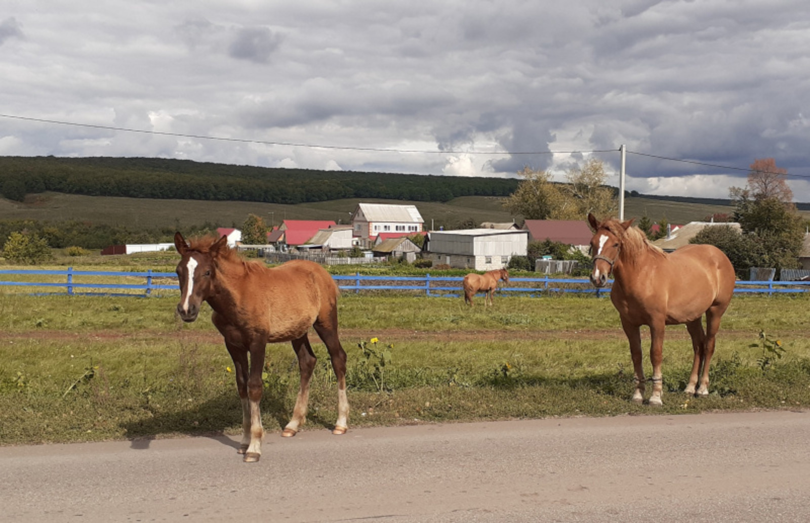 Фото автора.