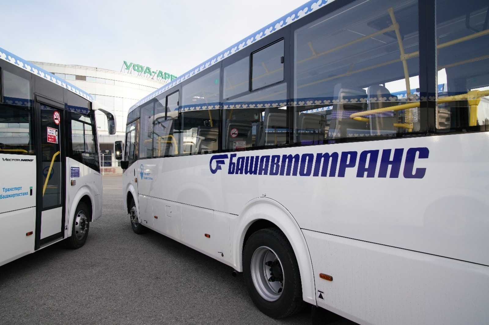 Башавтотранс уфа. Цветы башкирии автобусы. Цветы башкирии автобусы. Цветы башкирии автобусы. Цветы башкирии автобусы.