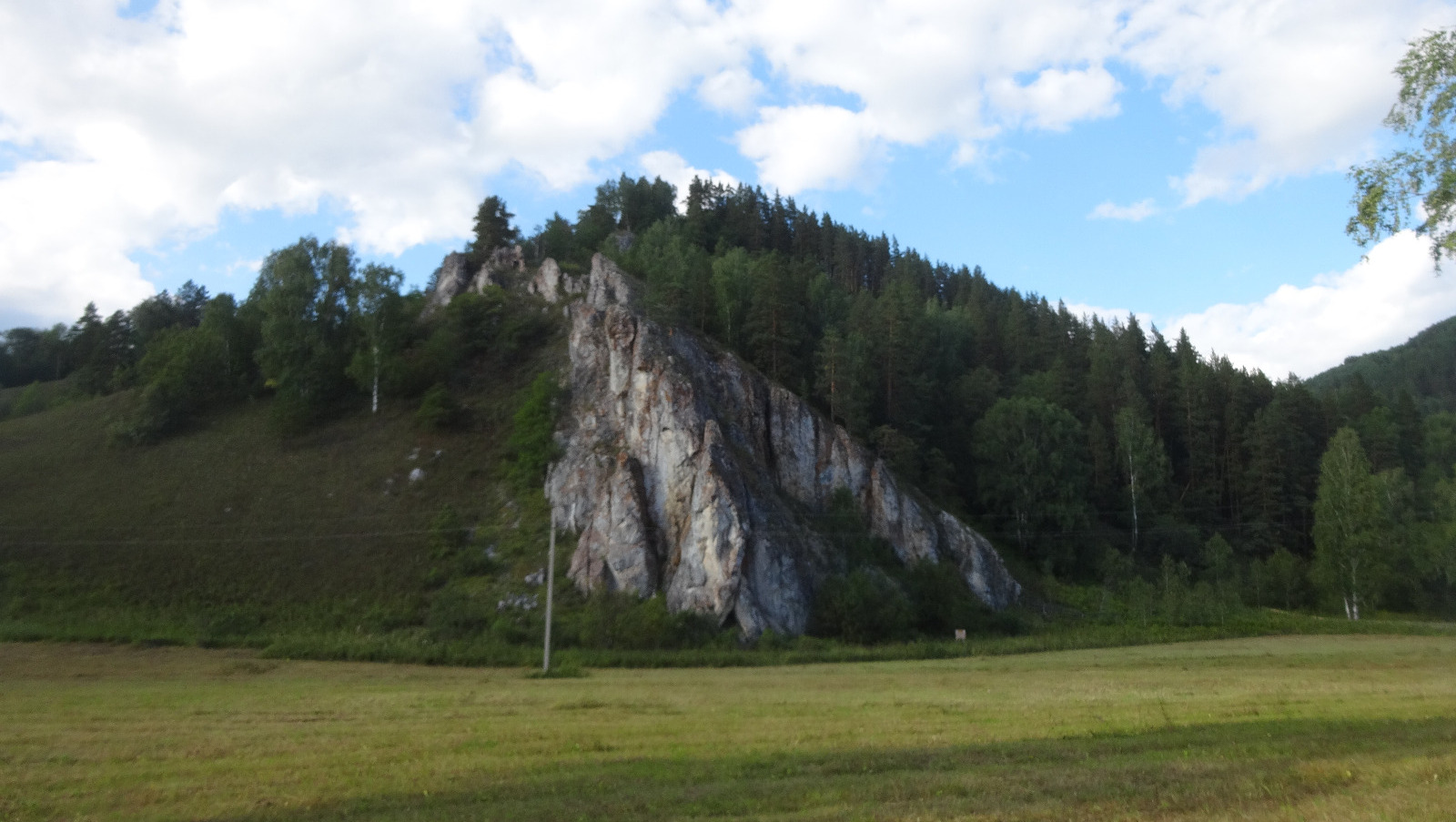 Елены Колоколовой.