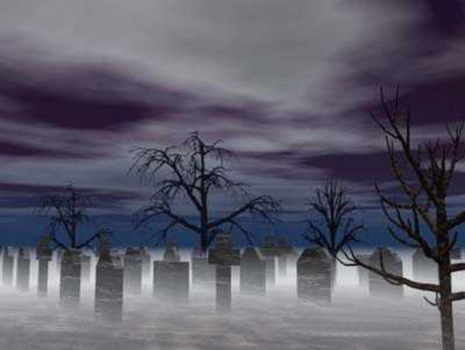 Фото с сайта www.images.yandex.ru.