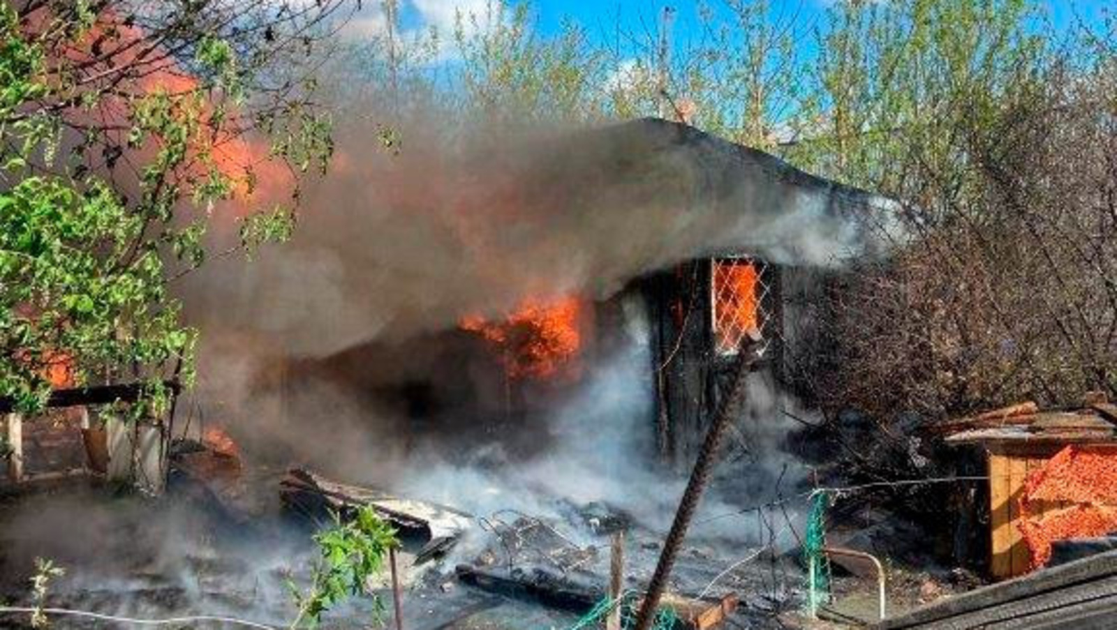 Девочки которые умерли и причина
