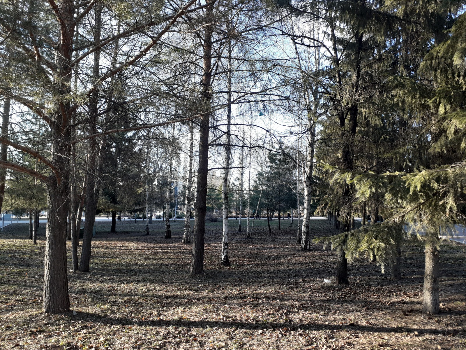 горный башкортостан климат. уфа климат природа. башкирия шаранский район. река караидель в башкирии. башкирия с.