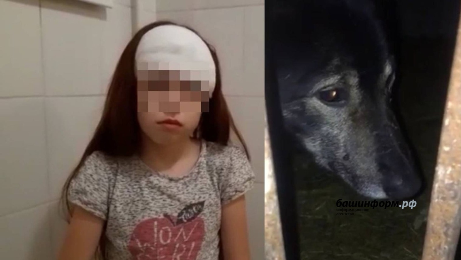 Честно говоря
