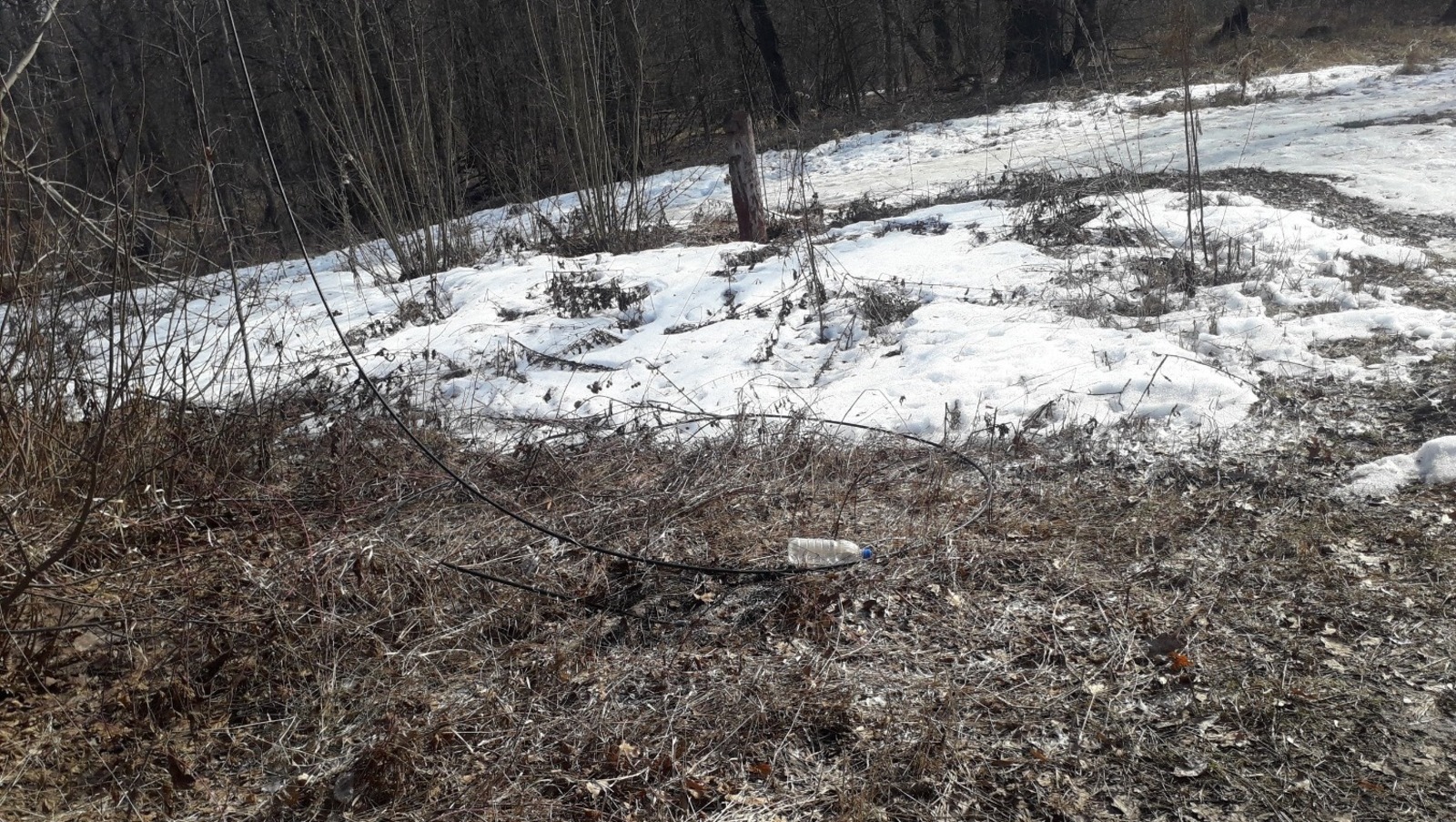 В Уфе собака погибла от удара током