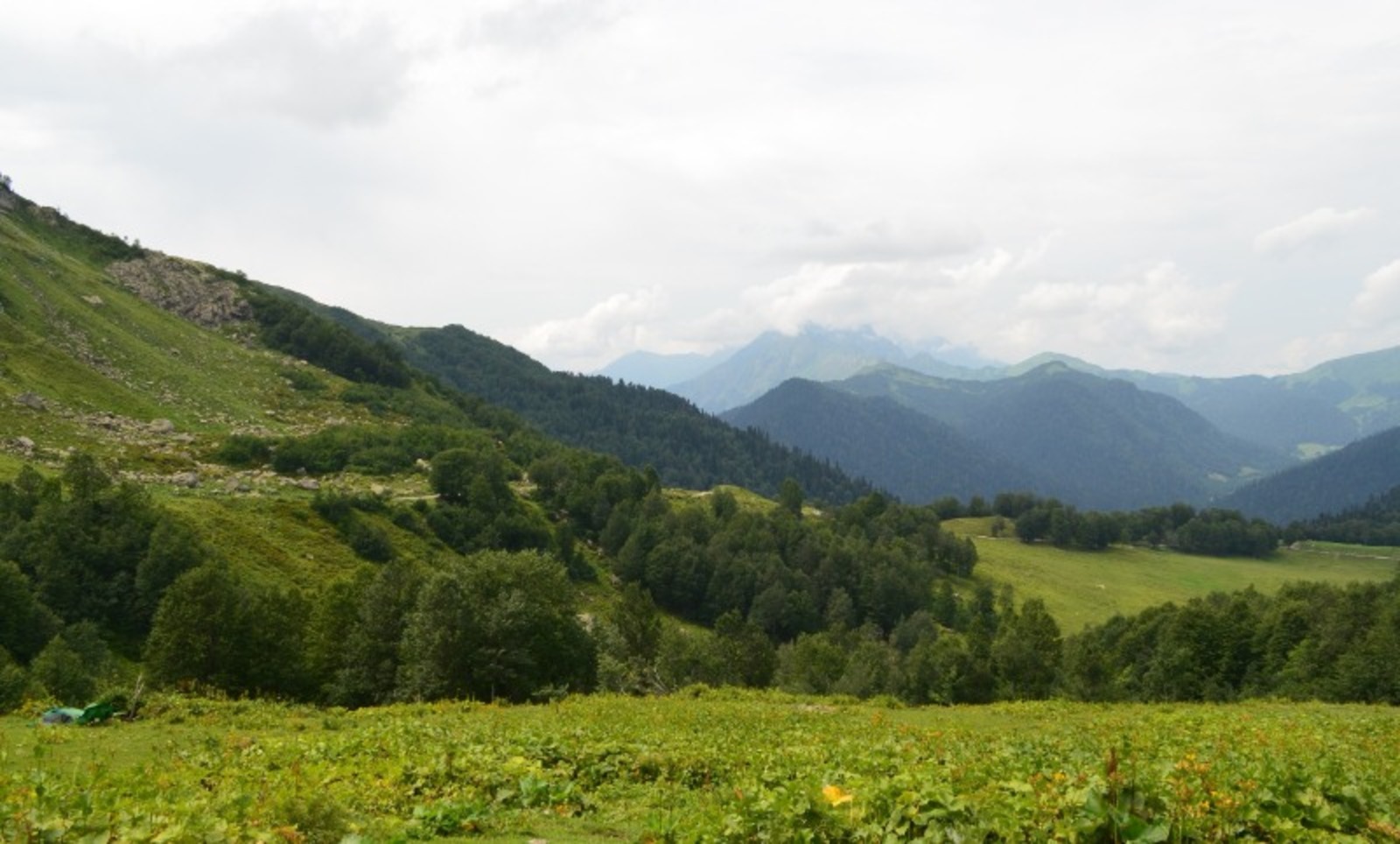 автора.  Абхазия.