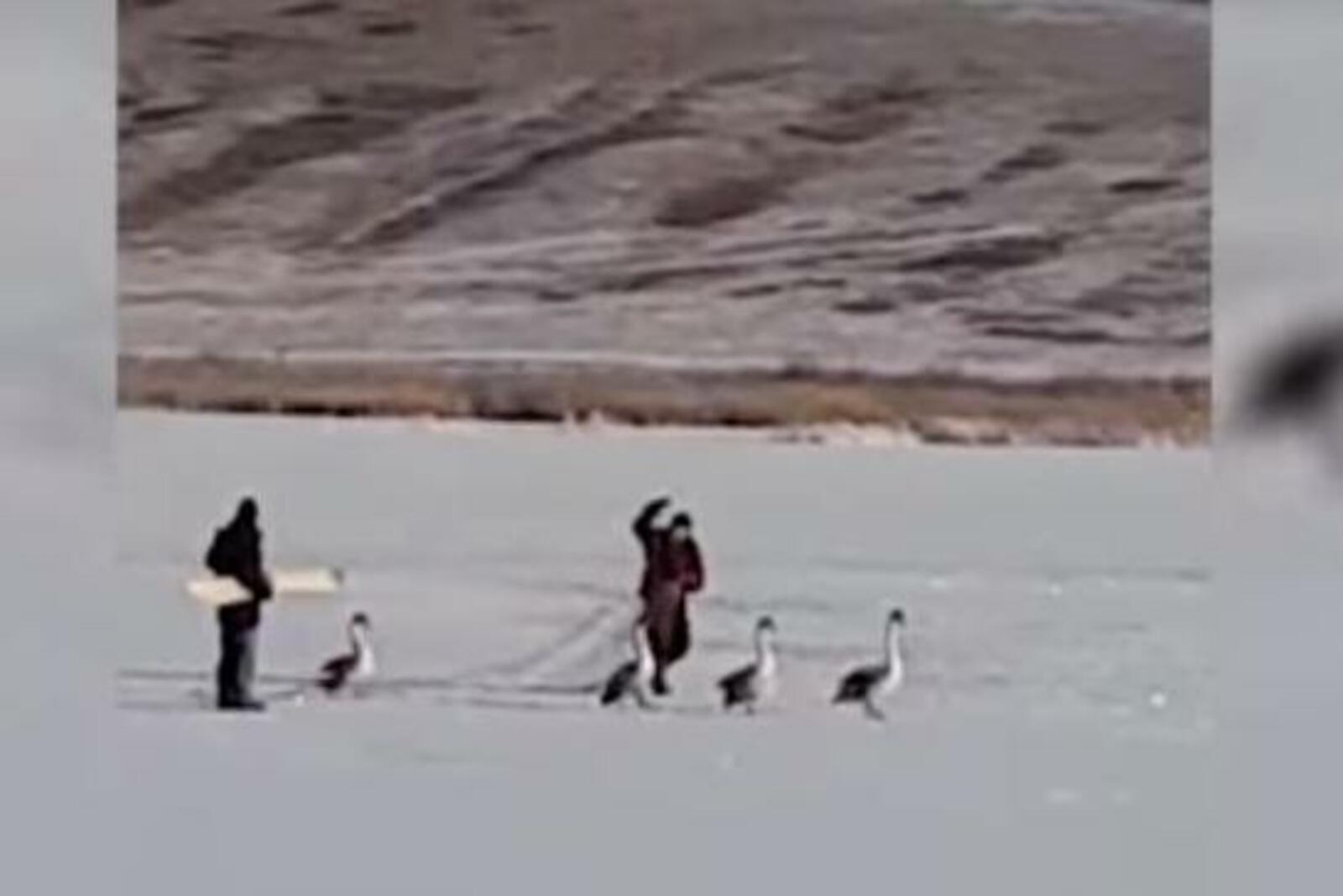 стоп-кадр видео ГТРК «Башкортостан»