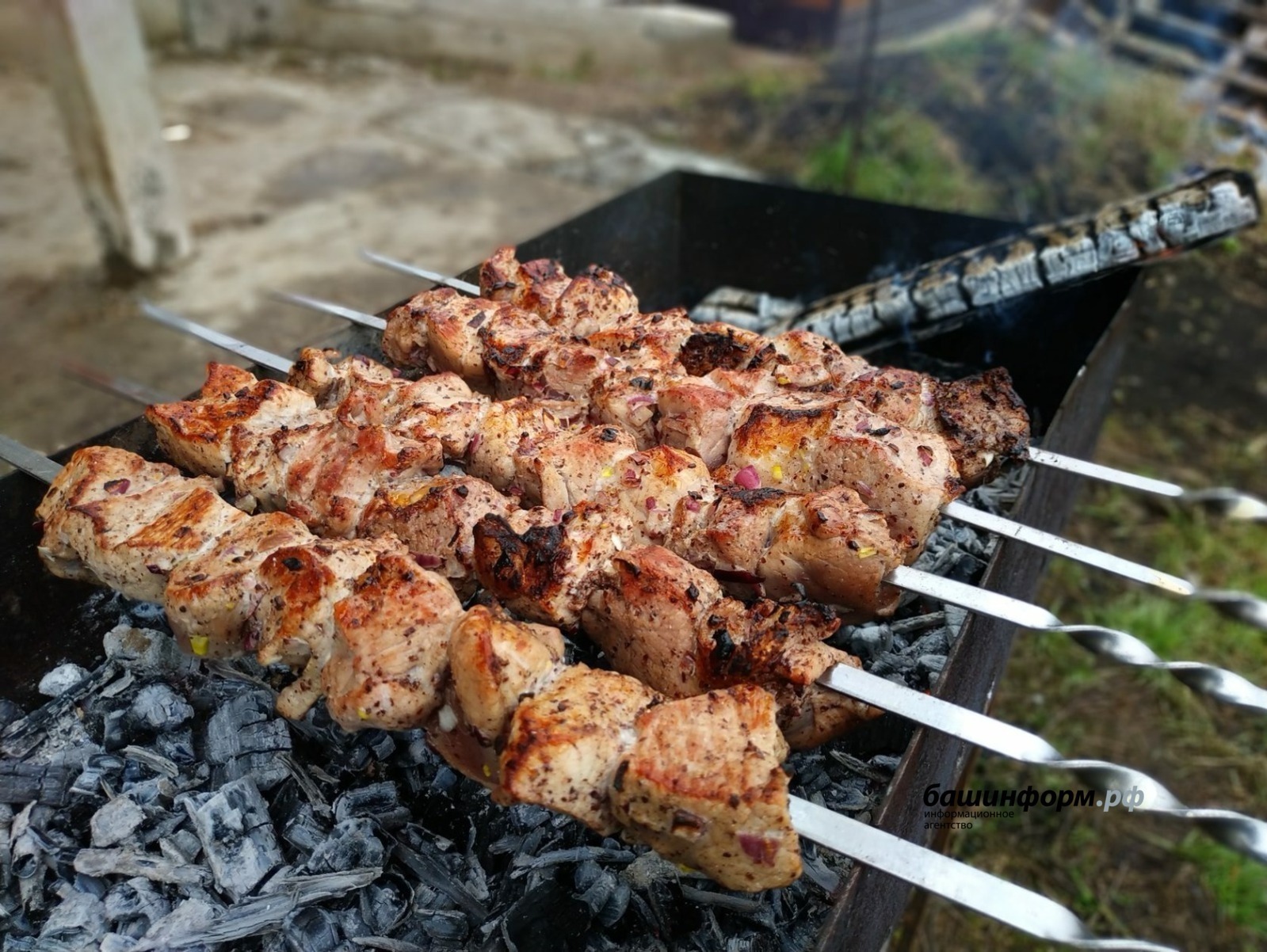 Где Можно Купить Вкусный Шашлык