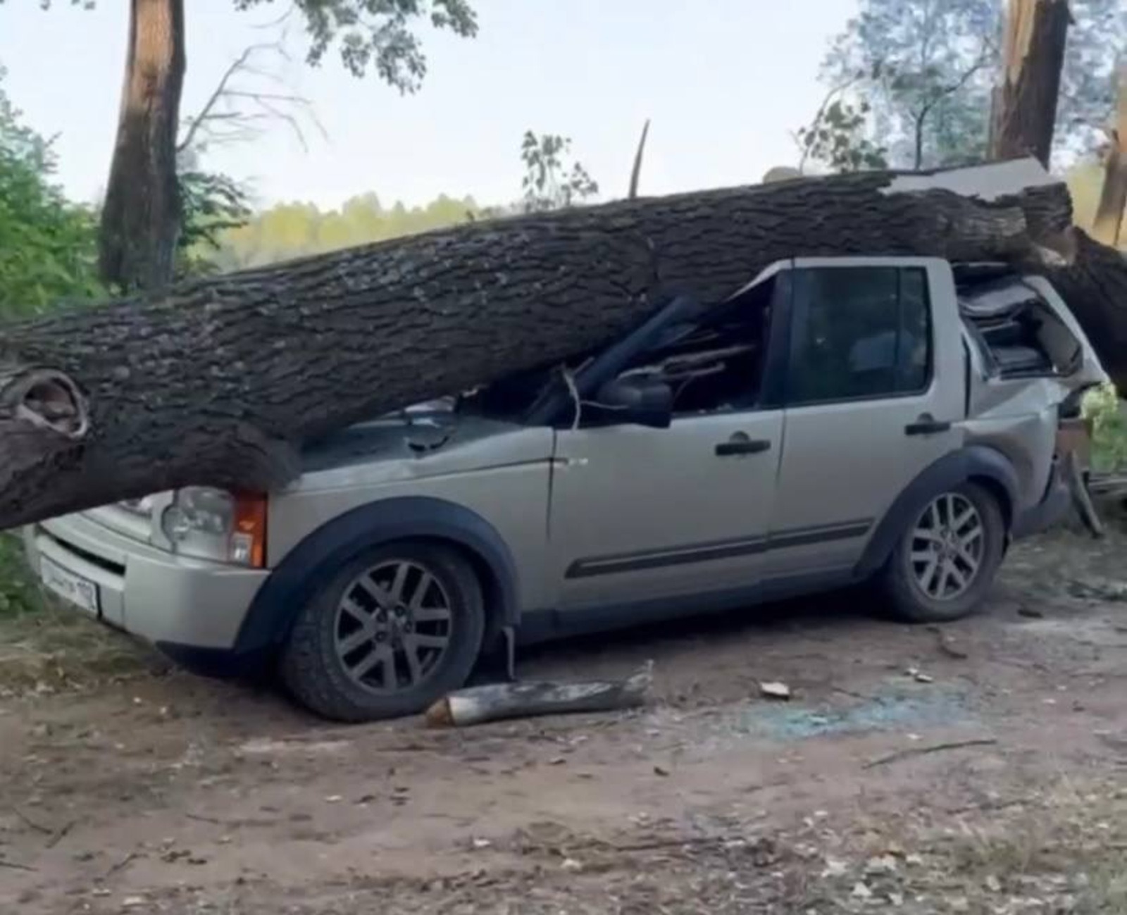скрин видео.