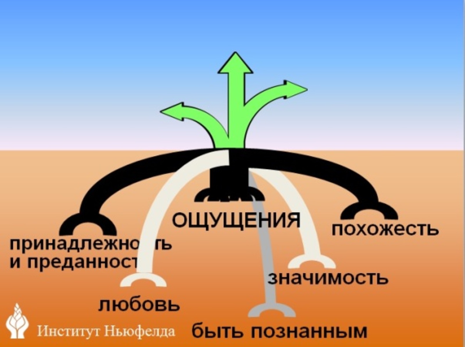 Уровни привязанности