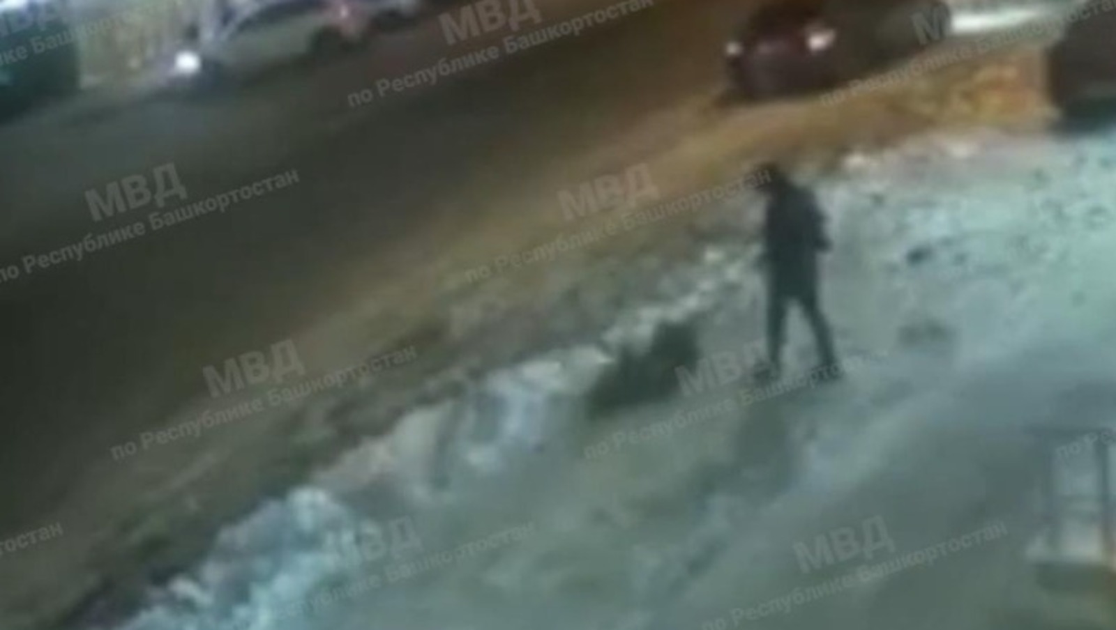 Попал под пули. Расстрелянные сотрудники полиции. Полицейский расстрелял женщину.