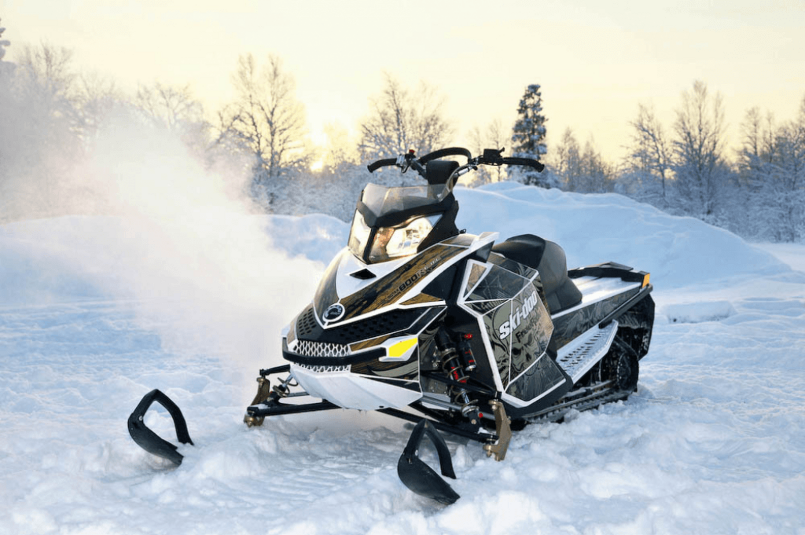 Снегоходы хабаровском крае. BRP Freeride 154 800r e-Tec. Снегоход Пегас. Снег аход. Современные снегоходы.