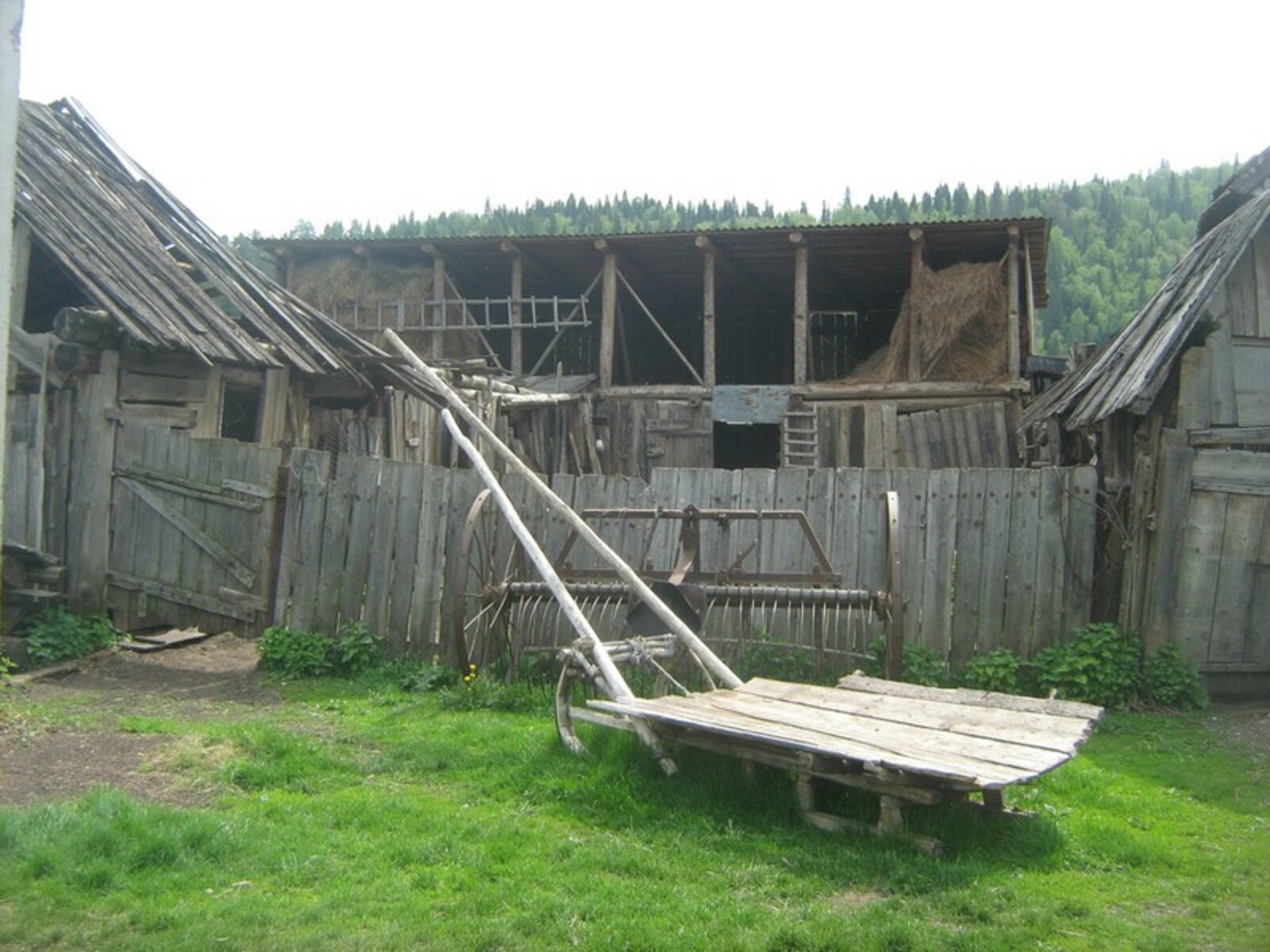 Фото автора.