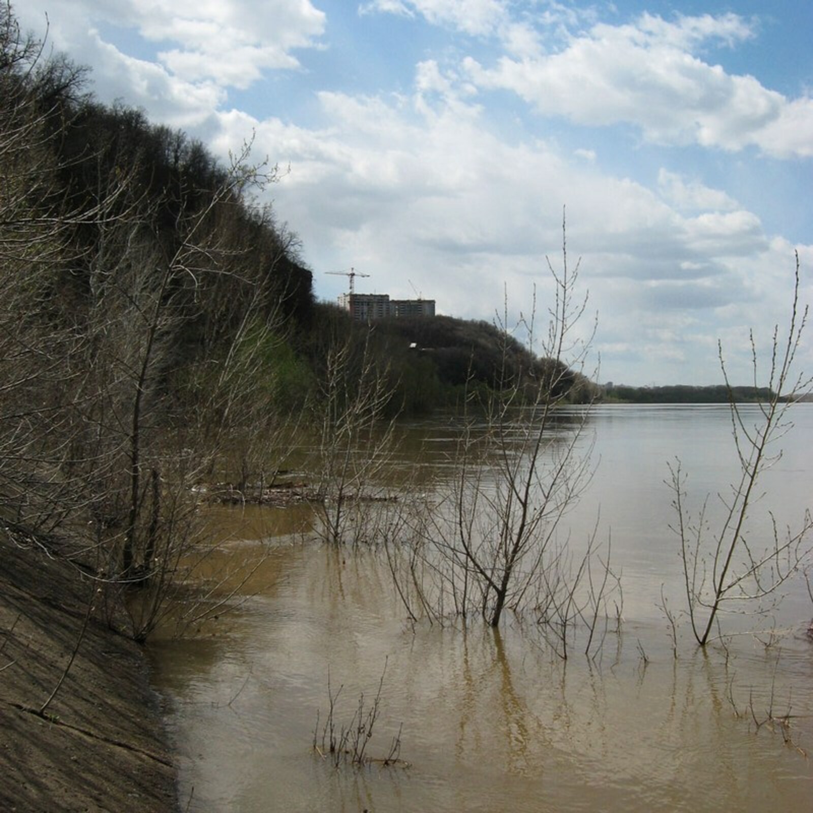 Фото автора.