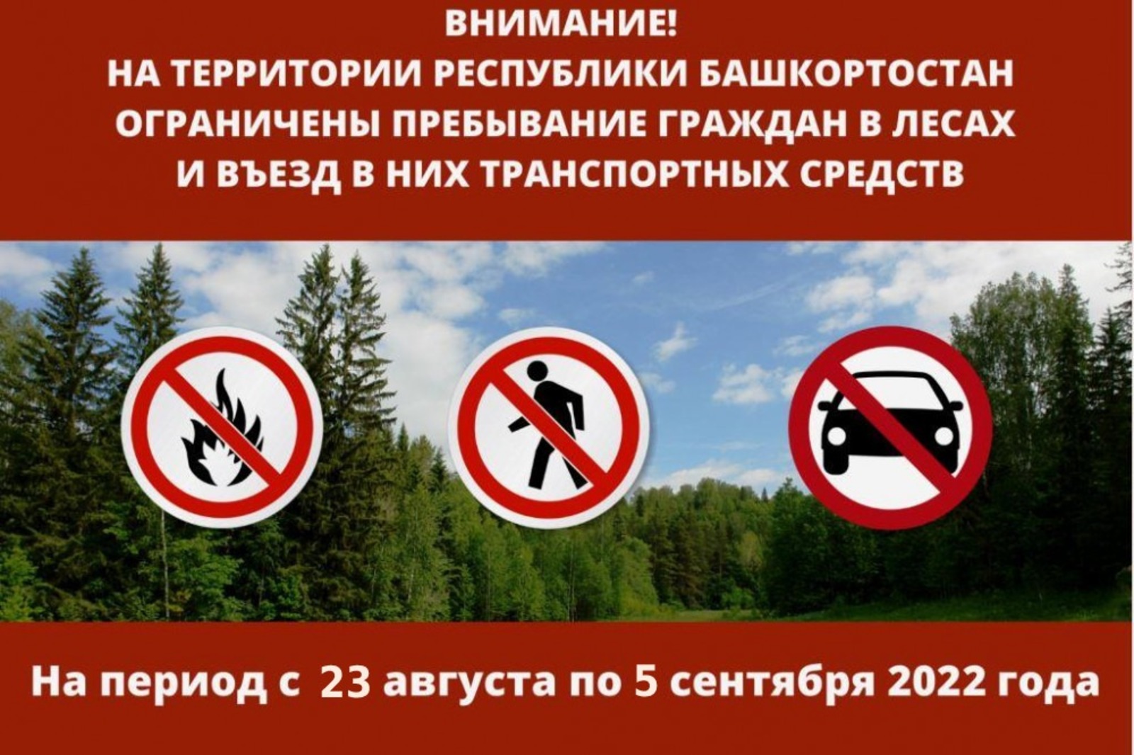 Картинки посещение леса запрещено