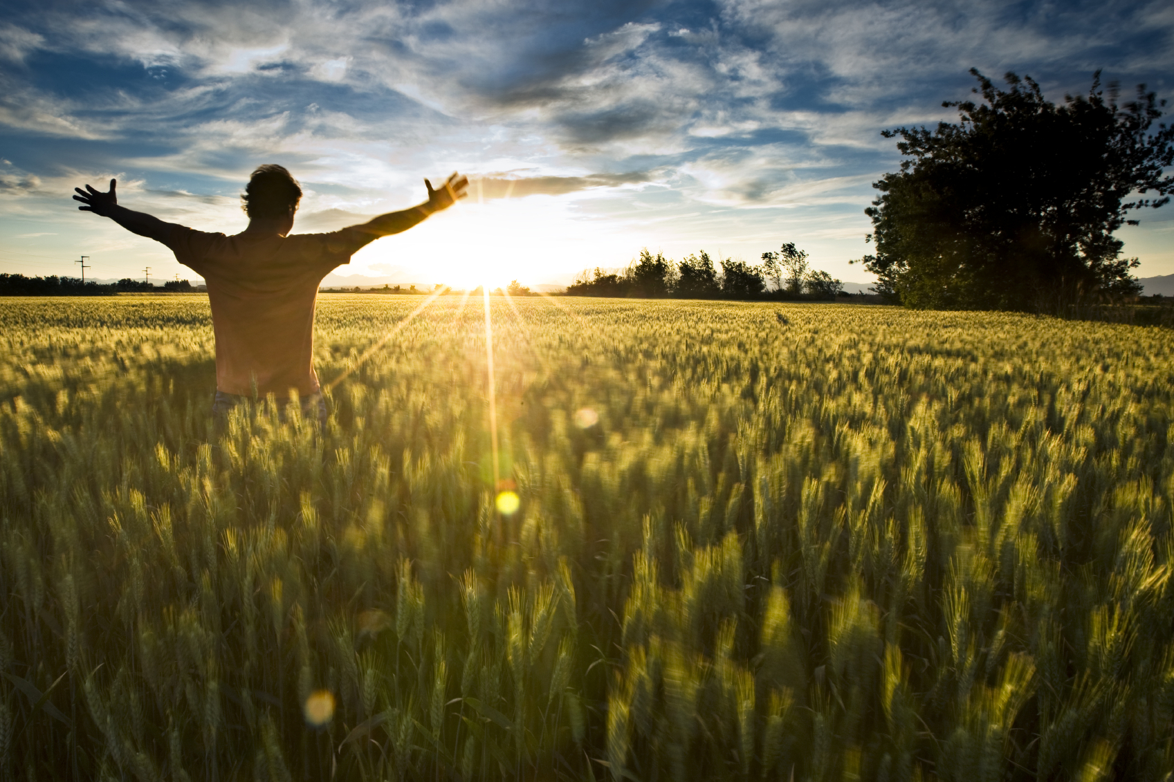 Солнце и мир на отношения. Человек в поле. Радостный человек в поле. Парень в поле. Свободный человек. Солнце и мир на отношения. Человек в поле. Радостный человек в поле. Парень в поле. Свободный человек.