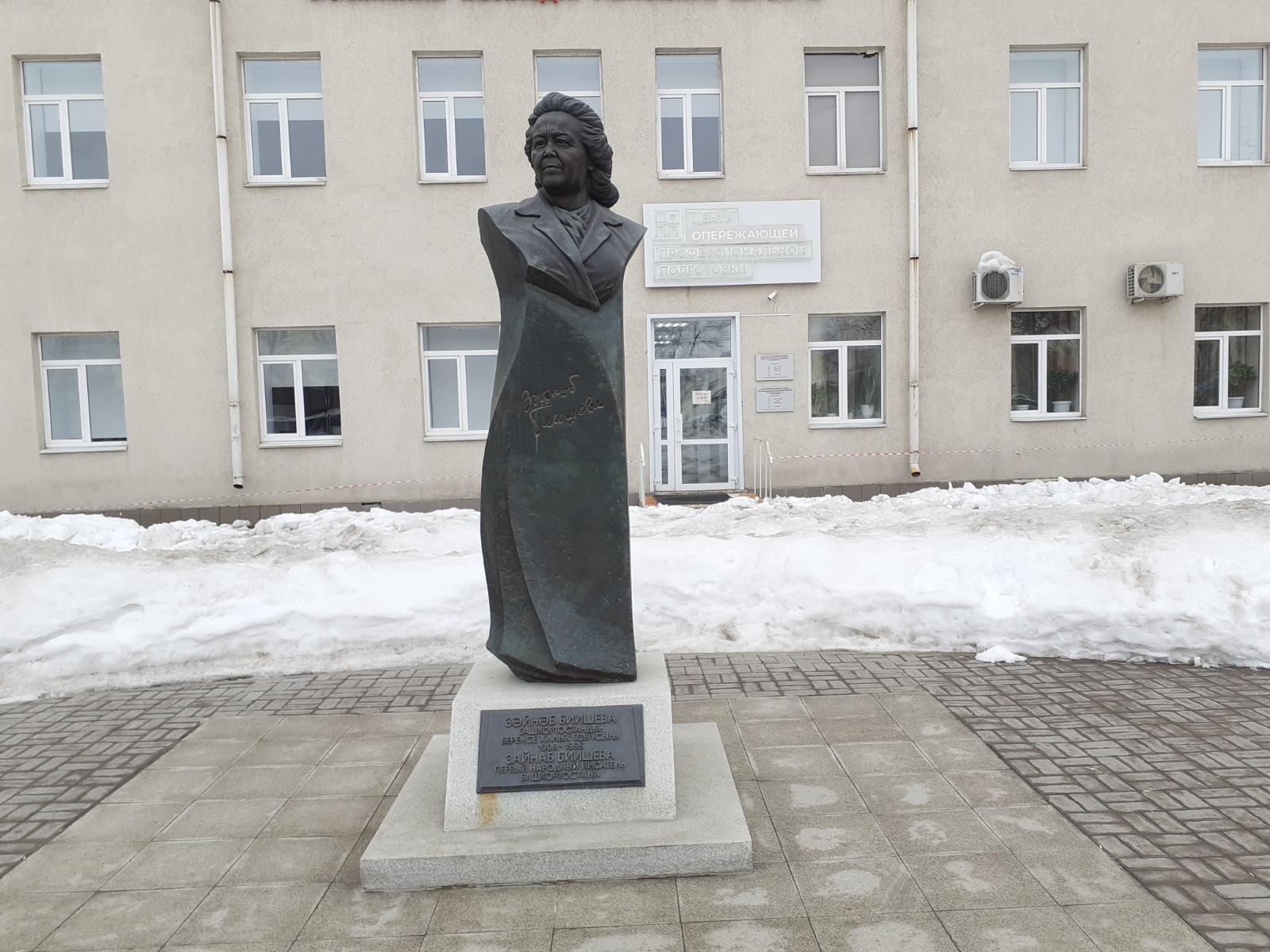 Владимира Шакиева.